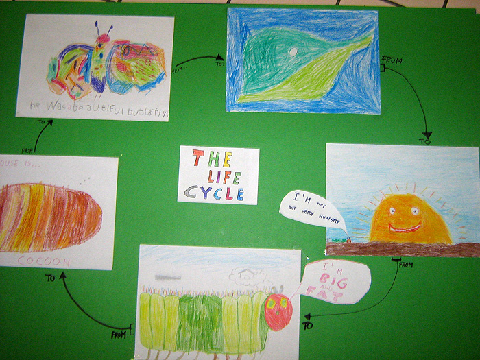 the life cycle poster